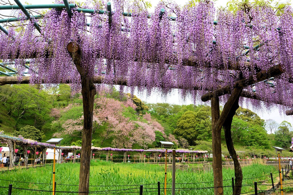 🏞️ 렌게지이케 공원